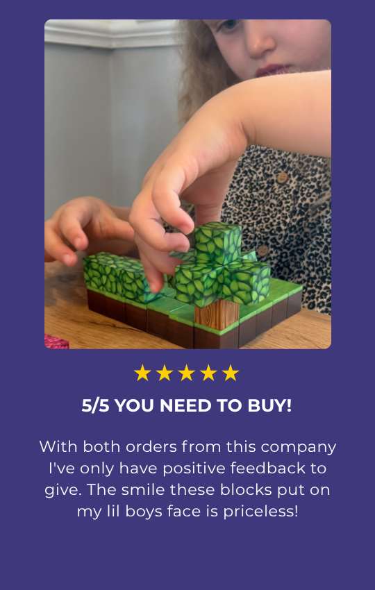 Click Blocks Anniversary Sale